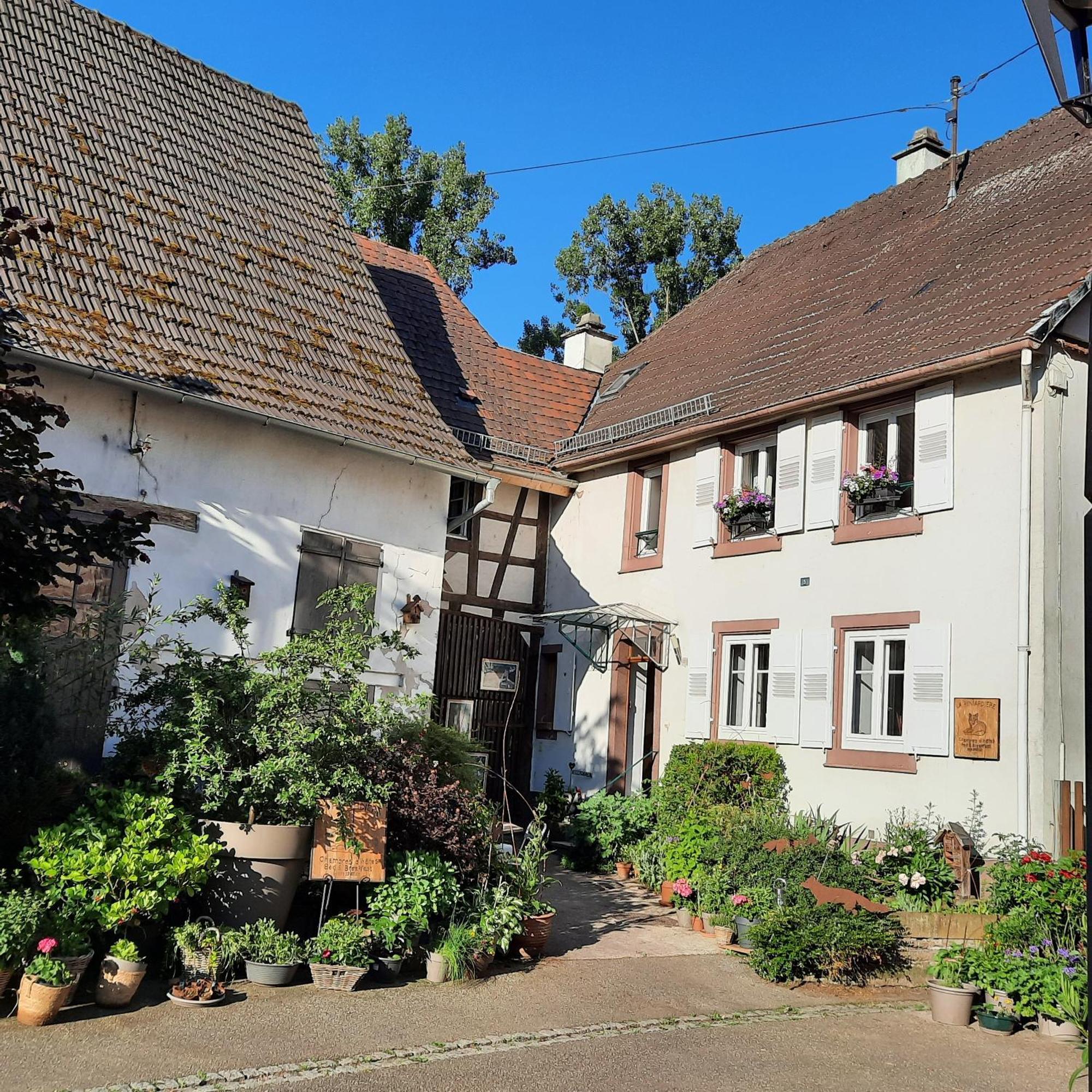 La Renardiere Reichshoffen Exterior photo